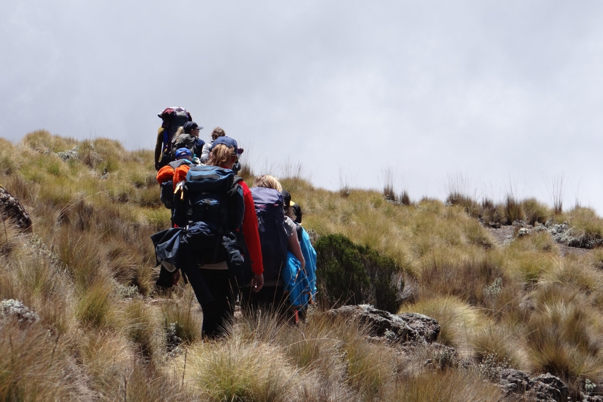 Mt. Kenya Hikes Mt. Kenya Hikes