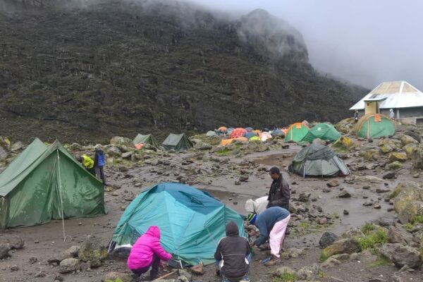 Mt. Kilimanjaro Hikes