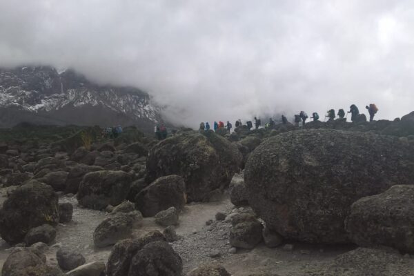 Mt. Kilimanjaro Hikes