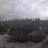 Mt. Kilimanjaro Hikes