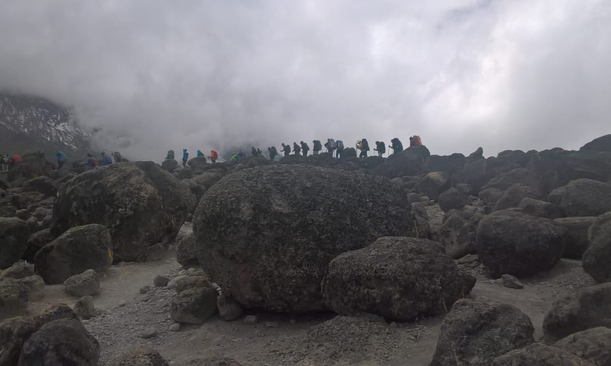 Mt. Kilimanjaro Hikes