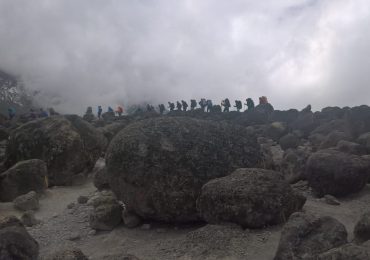 Mt. Kilimanjaro Hikes