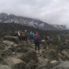 Mt. Kilimanjaro Hikes