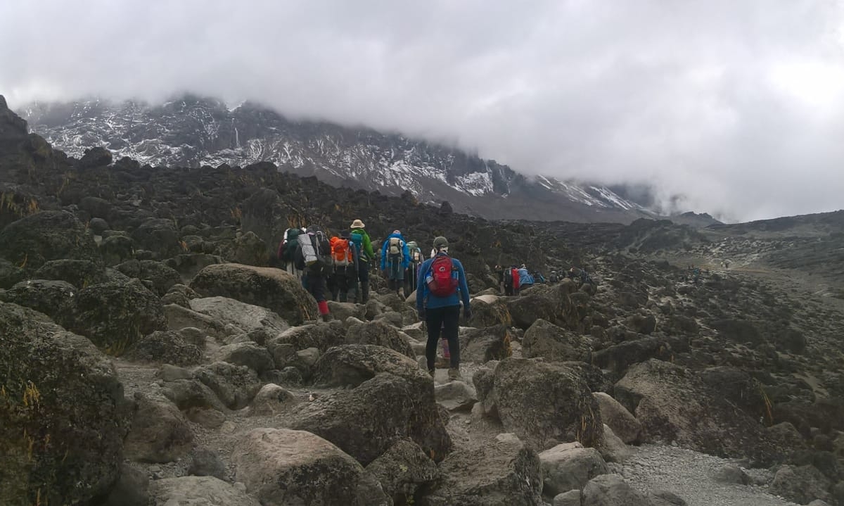 Mt. Kilimanjaro Hikes