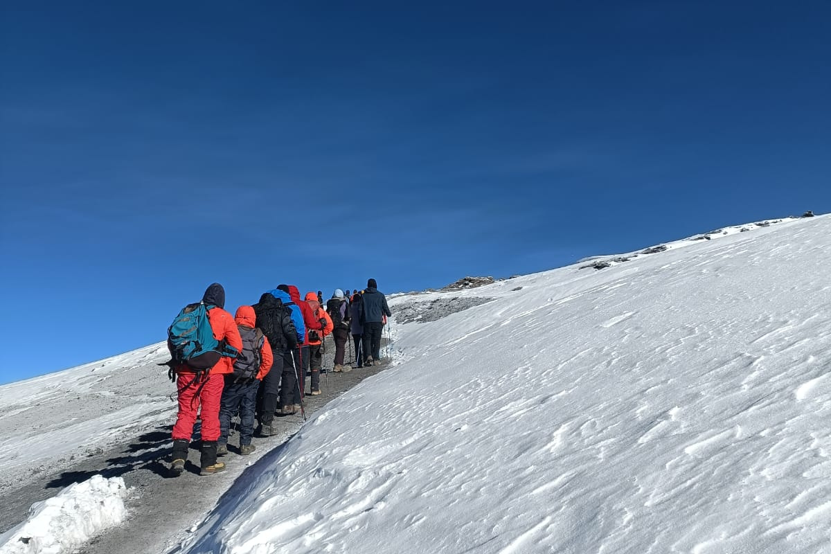 7 Days Kilimanjaro Trekking via Lemosho Route