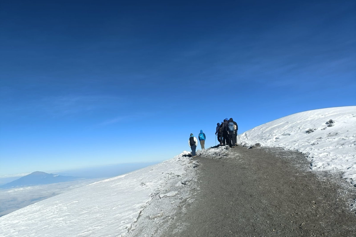 8 Days Kilimanjaro Trekking via Lemosho Route