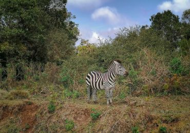 IMG_20210730_103057-01