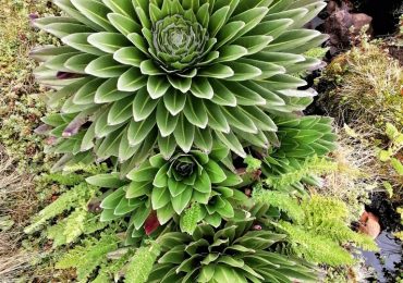 IMG_20210731_105204-01