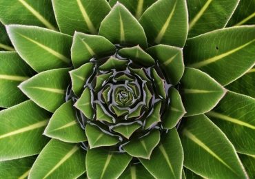 IMG_20210731_110113-01