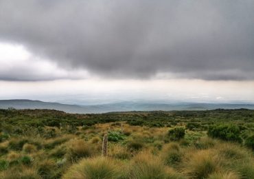 IMG_20210731_121823-01