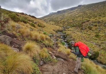 IMG_20210801_114525-01