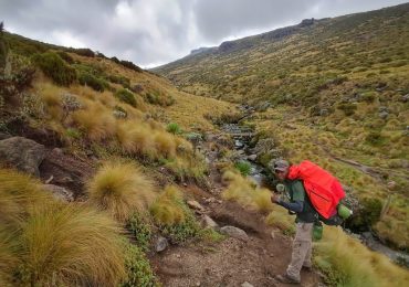 IMG_20210801_114525-02