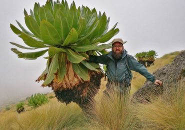 IMG_20210801_132245-01