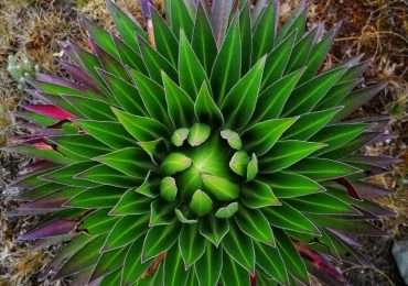 IMG_20210801_135814-01