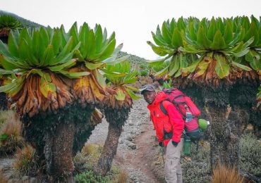 IMG_20210801_140141-01