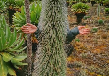 IMG_20210801_140431-01