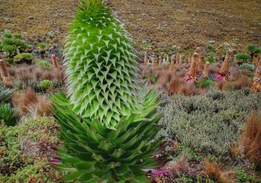 IMG_20210801_140755-01