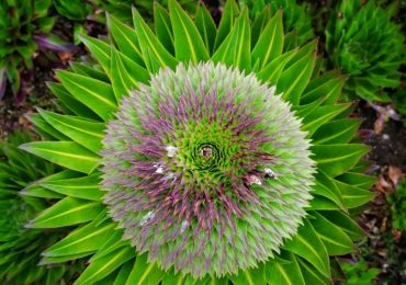 IMG_20210801_144932-01