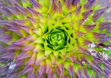 IMG_20210801_144943-01