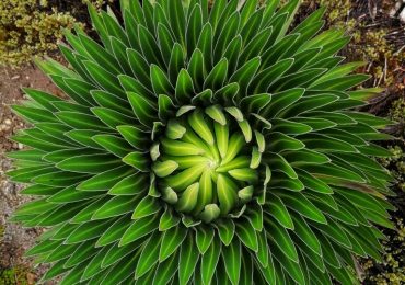 IMG_20210801_150625-01