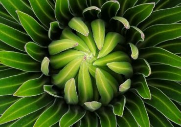 IMG_20210801_150630-01