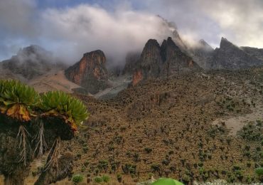 IMG_20210801_180504-02