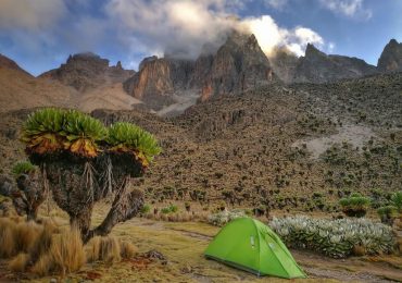 IMG_20210801_181958-01