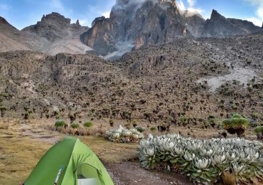 IMG_20210801_182423-01