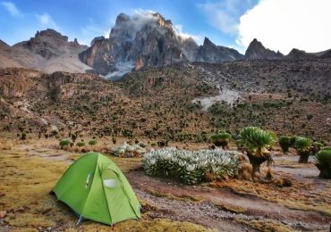 IMG_20210801_182431-01