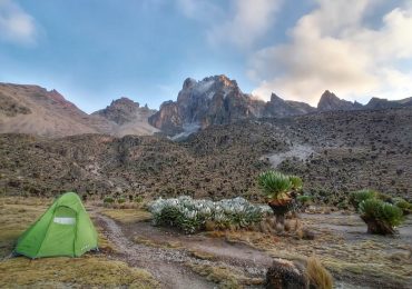 IMG_20210801_183122-01