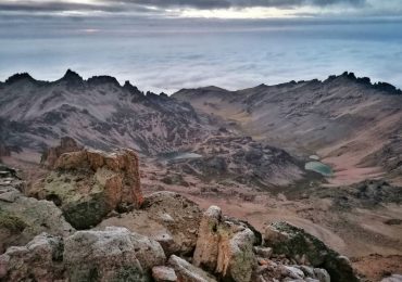 IMG_20210802_062223-01