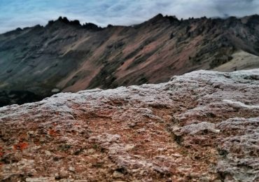 IMG_20210802_063838-01