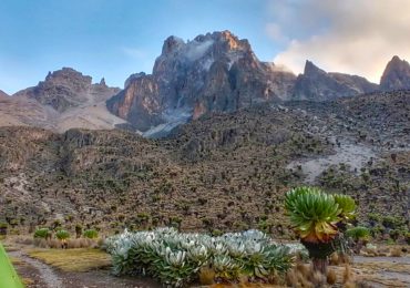 Mt. Kenya Hikes