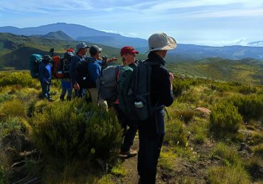 Mount Kenya Hikes