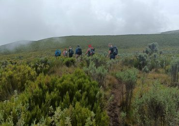 Mount Kenya Hikes