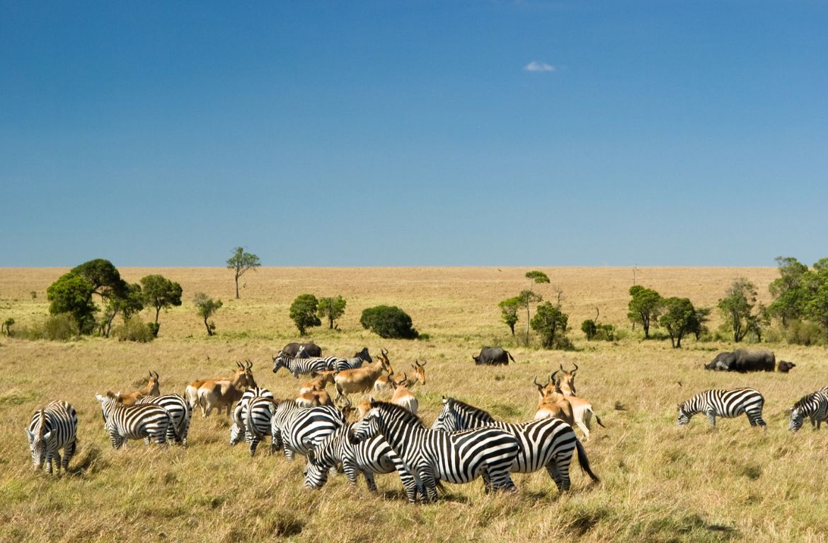 The Masai Mara National Reserve