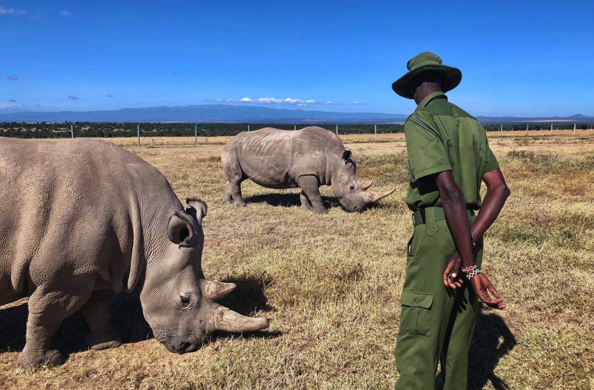 Ol Pejeta Conservancy 