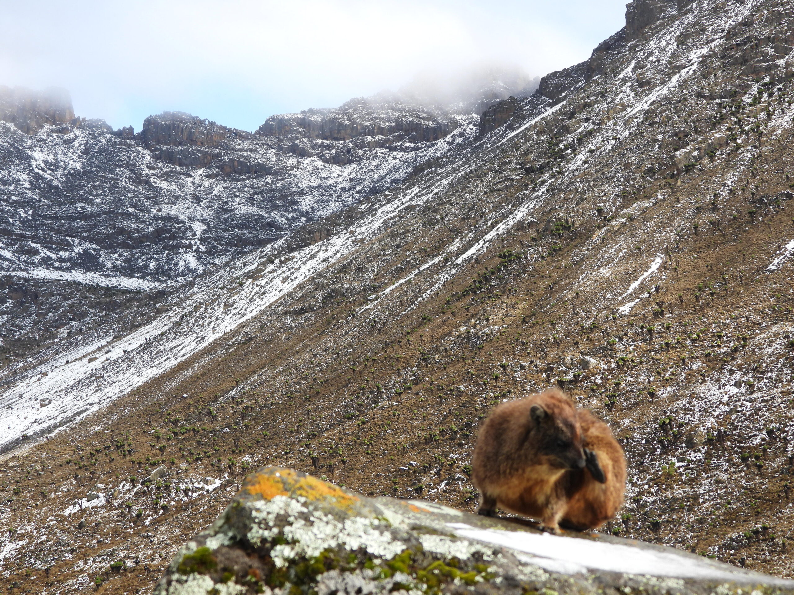6 Days Mount Kenya Trekking via Burguret – Chogoria Route 6 Days Mount Kenya Trekking via Burguret – Chogoria Route