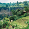 Ahambi Tours Mount Elgon (2)