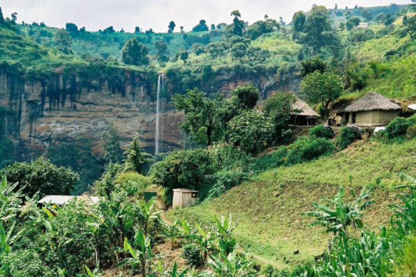 Ahambi Tours Mount Elgon (2)