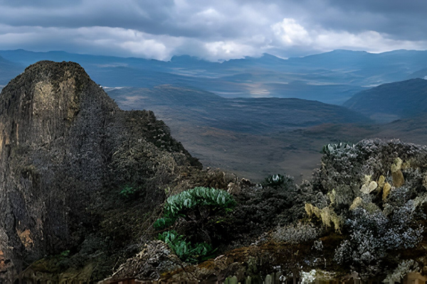 Ahambi Tours Mount Elgon (3)
