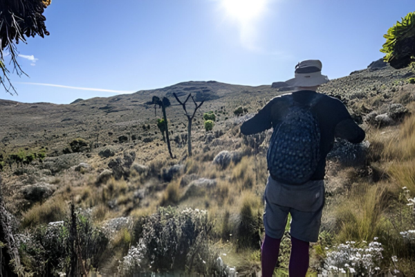 Ahambi Tours Mount Elgon (4)