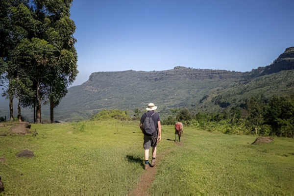 Ahambi Tours Mount Elgon (5)