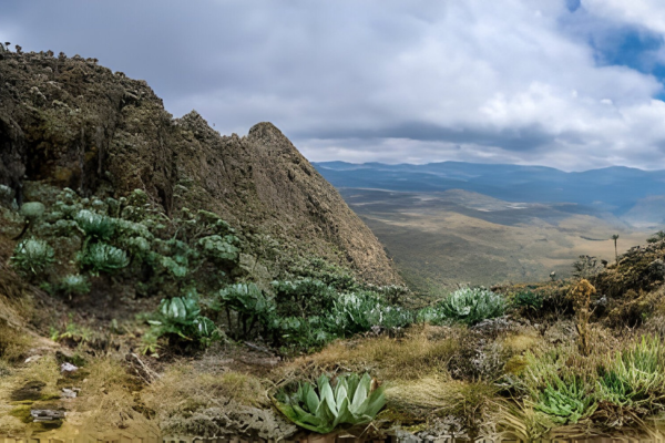 Ahambi Tours Mount Elgon