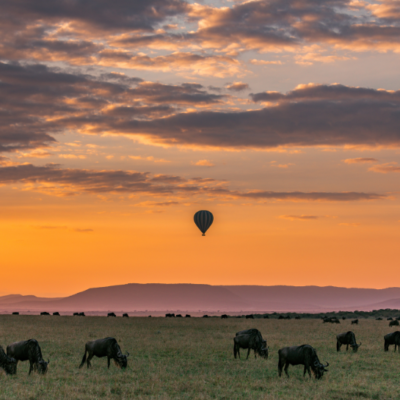 9 Day Tanzania Safari & Zanzibar Beach Adventure