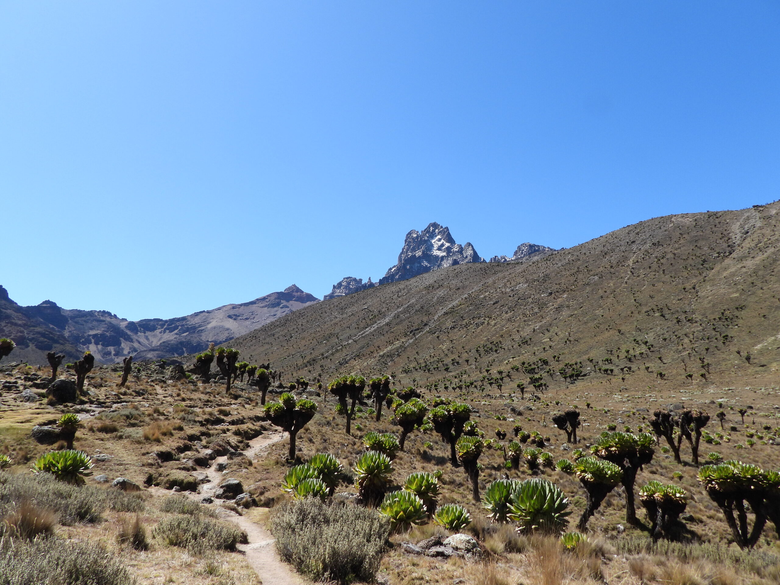 Altitude Sickness on Mount Kenya