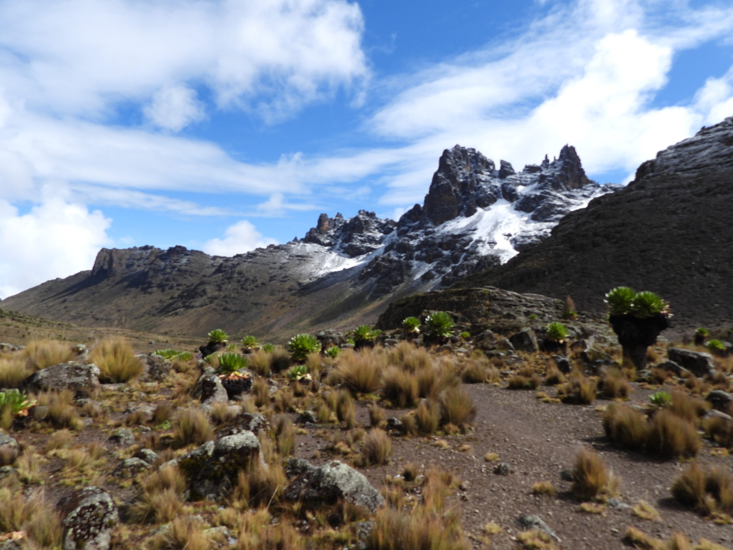 Mount Kenya with Kids