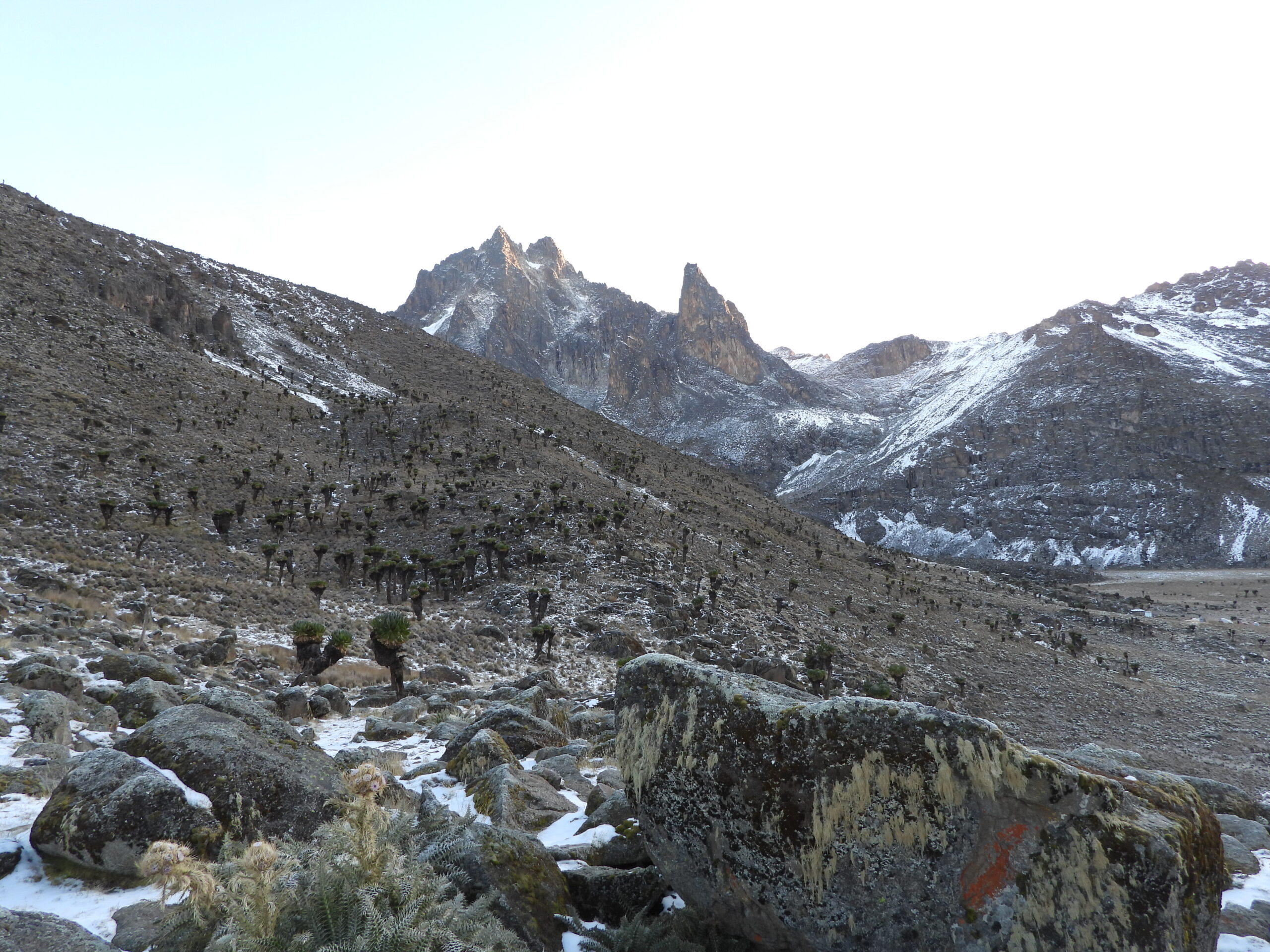 Mount Kenya Mount Kenya